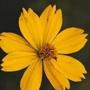 Meet your Posher, Bonnie